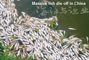 Mass Fish Die off China