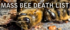 Worldwide Bee Die offs