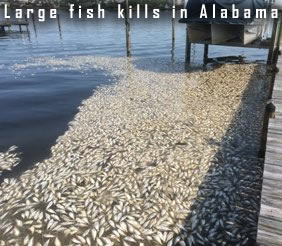Fish kill in Alabama