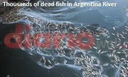 Fish Kill in Argentina