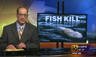 Fish Kill USA