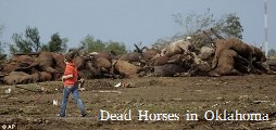 Dead Horses Oklahoma
